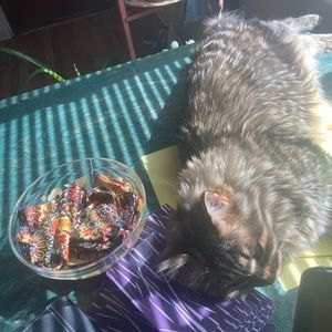 Meet your Posher, Magda